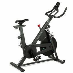 OVICX Q100 Exercise Spin Bike Indoor Cycling Fitness